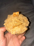 Cinnamon Toast Crunch Cupcake